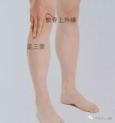 常按兩穴位，健脾又祛濕，原來可以這麼容易！