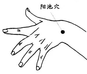 四季平安手上求！醫生告訴你：一個季節按一個穴位，保四季平安！