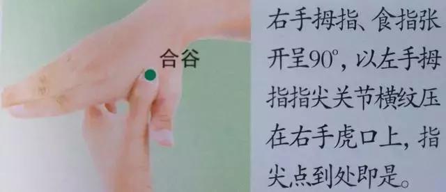 人體36絕穴，個個都實用，收藏，以備不時只需！