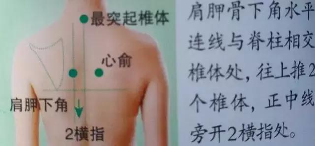 人體36絕穴，個個都實用，收藏，以備不時只需！