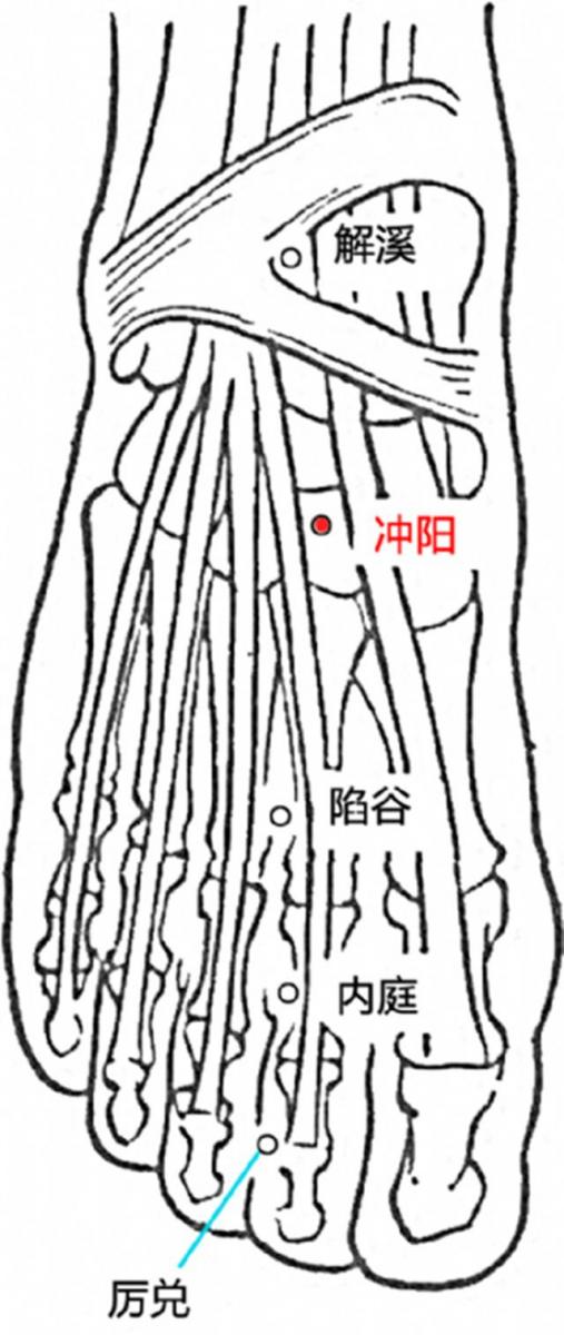 衝陽穴，最好的養胃保健藥