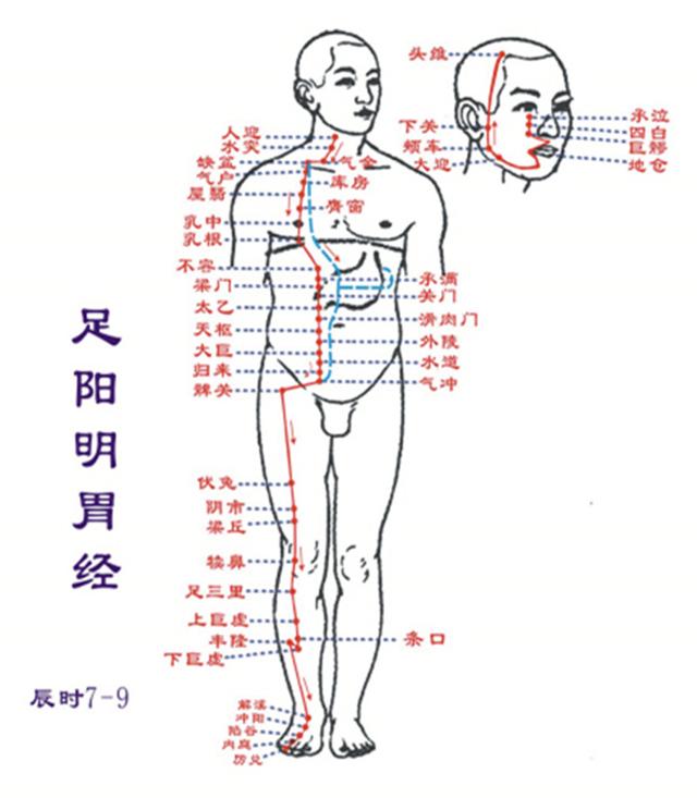 衝陽穴，最好的養胃保健藥