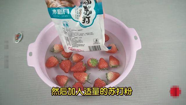 草莓千萬別用清水沖了！教你簡單一招，只需幾分鐘，髒東西就自己跑出來了！
