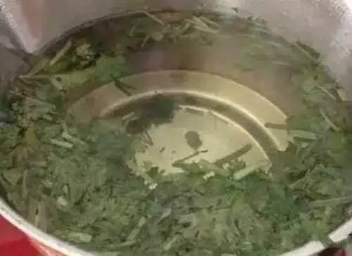 這菜用清水煮一煮，排出腎臟十年毒！