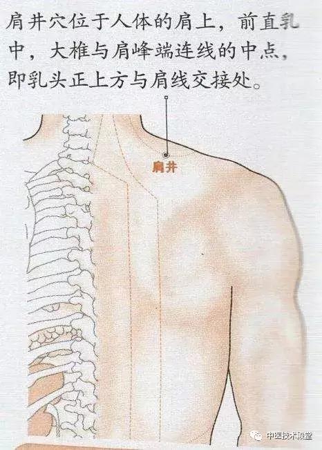 膽經堵，全身都堵！一個穴位暢通全身之氣