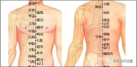 膽經堵，全身都堵！一個穴位暢通全身之氣
