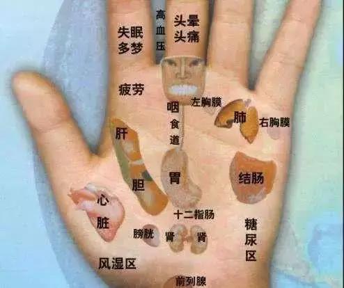 手上有個萬能穴位，每天都按一按，血管通暢心情好！