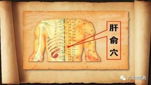 春天巧用這穴位，對養陽大有益處！（附操作手法）
