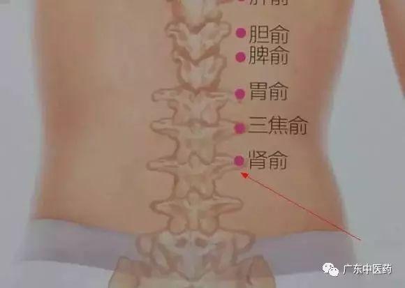 春天巧用這穴位，對養陽大有益處！（附操作手法）