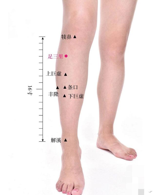 常艾灸大椎、肺俞、足三里3穴位，可提高機體免疫力，延長壽命