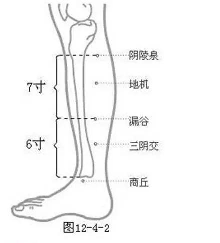 100個《穴位功效大全》，超級實用的中醫知識，收藏起來吧！