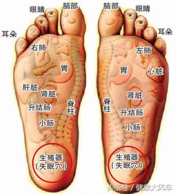 每天按摩腳底15分鐘，1個月後，身體竟有如此神奇的變化！