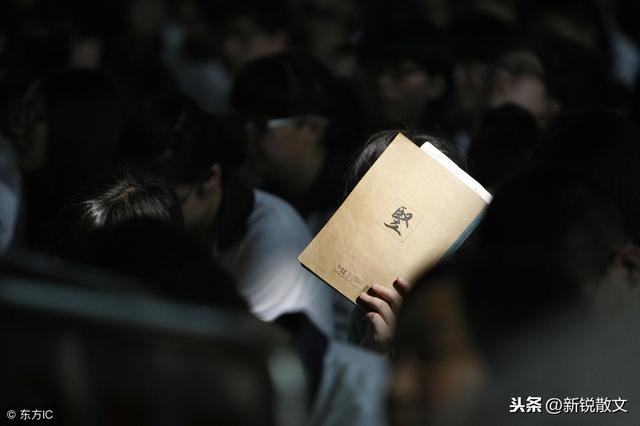 三丫從出生那天起就成了她娘的仇人，娘去世後她終於了理解母親