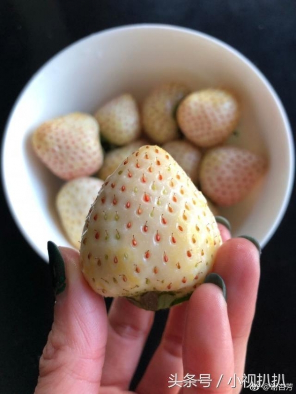 陳冠希家裡到底多有錢！老婆隨手PO了「這一張天價水果照」！網友嚇傻：這才是土豪！