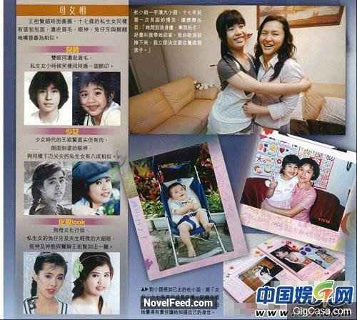 17年前王祖賢狠心拋棄了女兒？如今養母竟.... ！沒想到女兒生父是「他」！ 