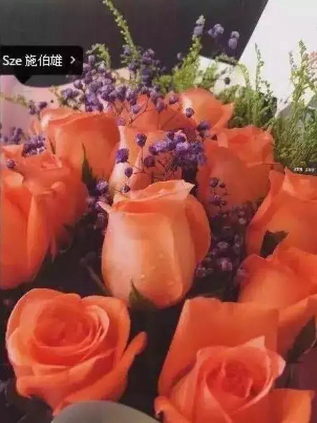林峰到底在前女友吳千語身上花了多少億？ 眾人皆言林峰愛吳千語像中了蠱！