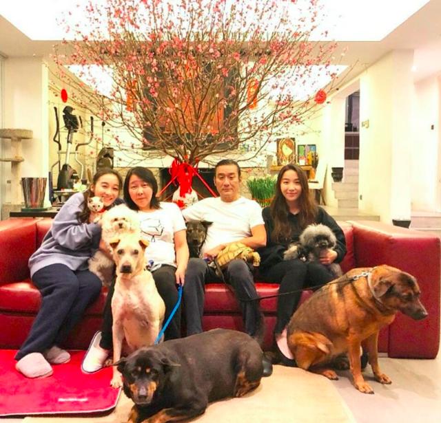 影帝梁家輝「豪宅內部」曝光了，過年拍全家福腿上坐大烏龜，網友發現「亮點」：好溫馨！