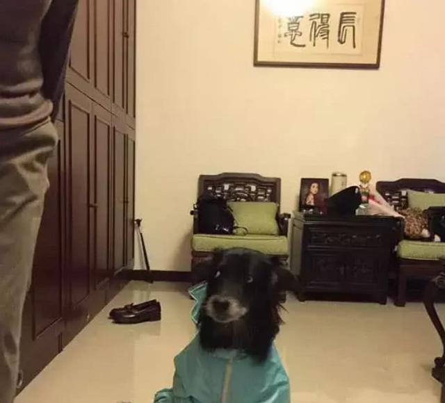 林依晨台北豪宅曝光，家裡裝修非常接地氣，網友：不愧是國民初戀！ 