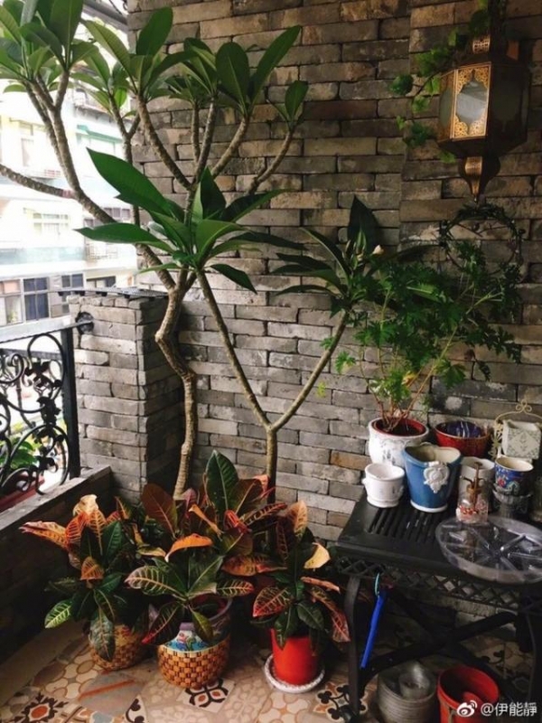 49歲伊能靜「台灣豪宅」內部曝光！裝潢極度奢華，網友看到客廳狂酸：「難怪老公不跟她住！」
