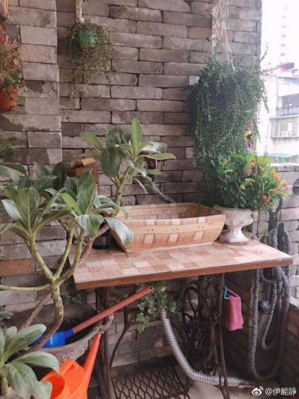 49歲伊能靜「台灣豪宅」內部曝光！裝潢極度奢華，網友看到客廳狂酸：「難怪老公不跟她住！」