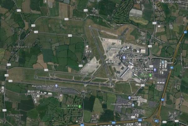 機場跑道闖入一隻鸚鵡多人爭認  靠回應「一門外語」確認身份