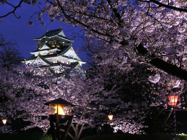 日本賞櫻旅遊線漸熱，3月底機票酒店價格上漲！
