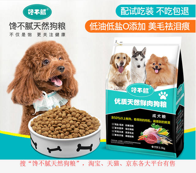 若你家貴賓犬處於7-15歲，請做好以下6件事，別讓自己遺憾一生！