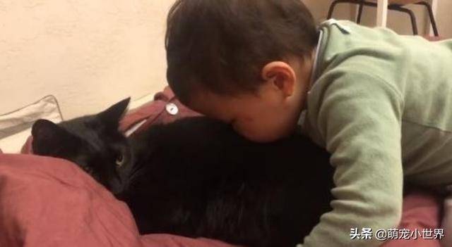 2歲孩子埋頭狂聞黑貓味，吸完還露出滿足表情傻笑把家人笑壞