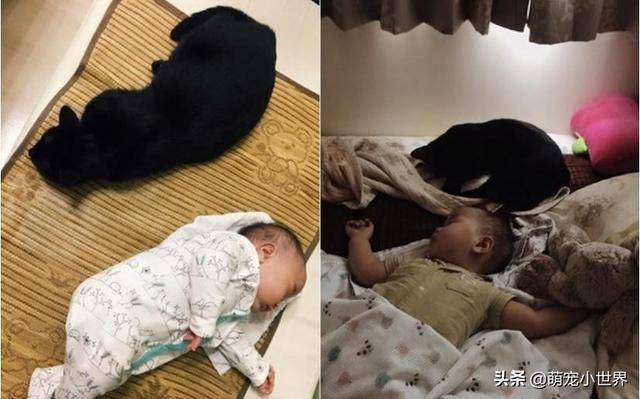 2歲孩子埋頭狂聞黑貓味，吸完還露出滿足表情傻笑把家人笑壞