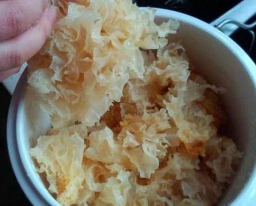 銀耳怎麼煮，才容易出膠？很多人把「第一步」做錯了，難怪不好吃