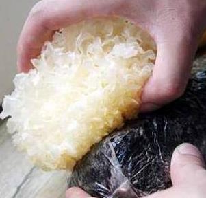銀耳怎麼煮，才容易出膠？很多人把「第一步」做錯了，難怪不好吃