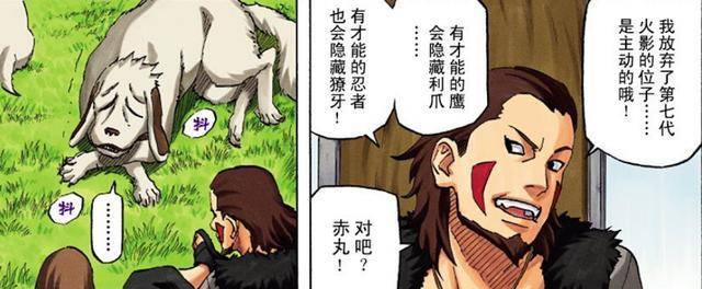 火影結局時大部分人都結婚了，只有這五個人的感情生活是個謎！