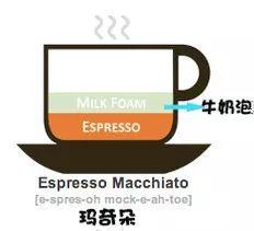每天都靠咖啡來續命，你知道咖啡有多少種嗎？