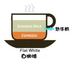每天都靠咖啡來續命，你知道咖啡有多少種嗎？
