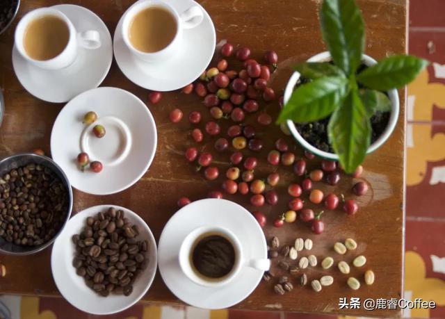 爆炸中產生的法式烘焙，微妙就在十幾秒內發生