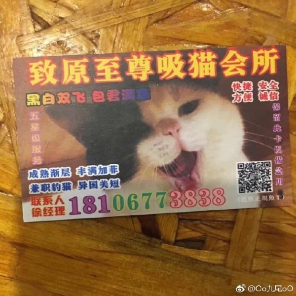 無意間得到兩張「羞羞名片」，結果看了一眼秒撥電話：我要最幼齒的！網友：該掃黃打貓了XD