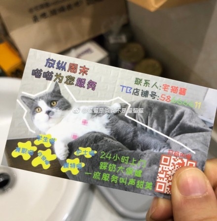 無意間得到兩張「羞羞名片」，結果看了一眼秒撥電話：我要最幼齒的！網友：該掃黃打貓了XD