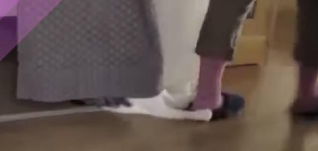 不愛昂貴貓窩卻愛廉價紙箱...今天就來解密：為什麼貓咪愛紙箱？