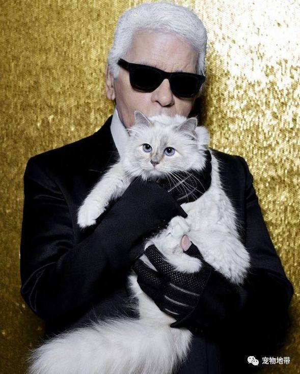 全球身價最高的貓誕生 ！「時尚貓奴」卡爾拉格斐Karl Lagerfeld的奢華寵貓之道