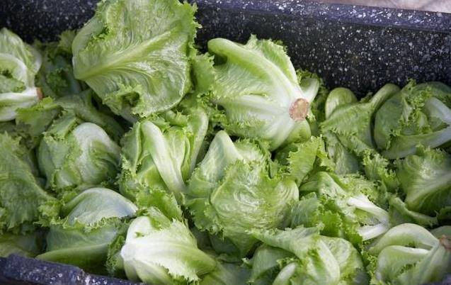 22種家庭自製豆漿配方，和外面的豆漿一樣香，省錢還好喝!!!