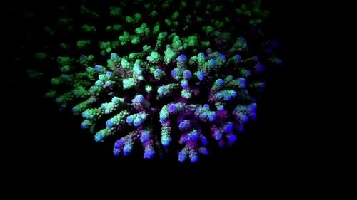 你見過煮熟的企鵝蛋嗎？盤點常見生物不為人知的真相