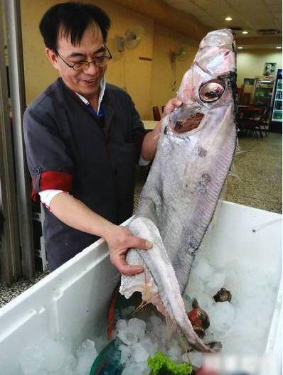 男子抓到一條奇怪的大魚，發往朋友圈，卻導致一些人搬家了 !