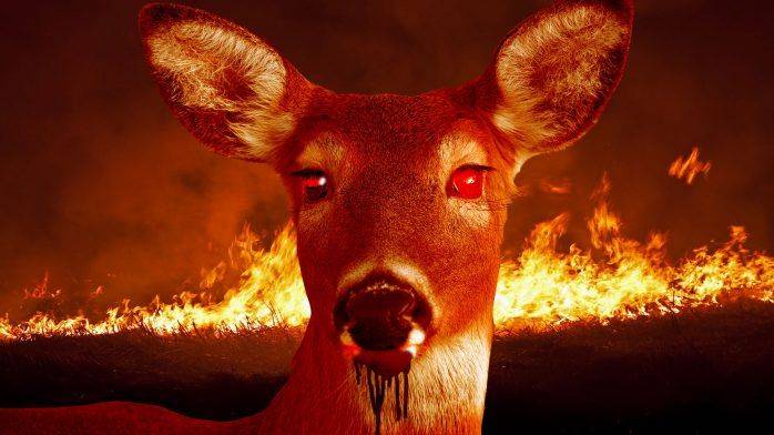 美國爆「喪屍鹿」災難 感染地區已爆到亞洲! 專家指:病毒或會傳播至人類!