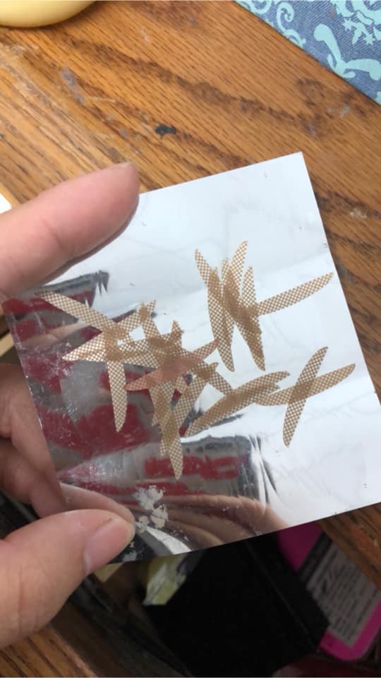 以為有喇牙！女友房間驚見「放射狀多腳肉蟲」嚇壞　靠近一看「異形真面目」網推爆：女生才懂的苦 !