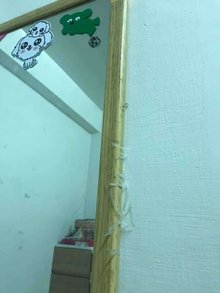 以為有喇牙！女友房間驚見「放射狀多腳肉蟲」嚇壞　靠近一看「異形真面目」網推爆：女生才懂的苦 !