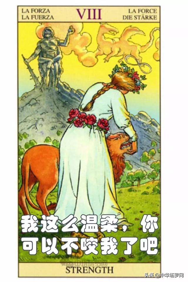 絕密！不能被十二星座看到的一份評價！