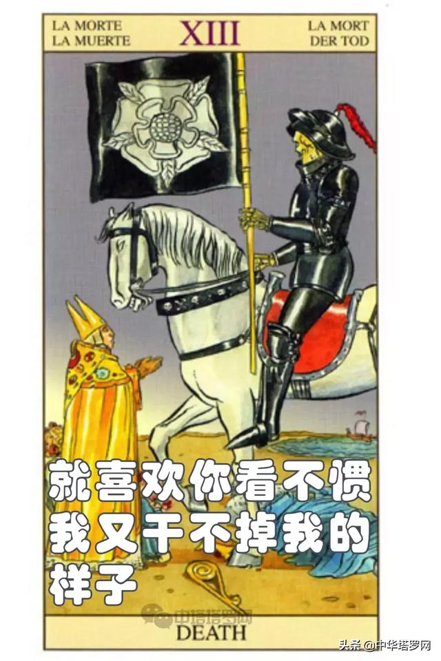 絕密！不能被十二星座看到的一份評價！