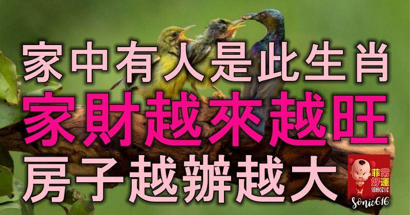 家中有人是此生肖，家運不弱，家財越來越旺，房子越辦越大！