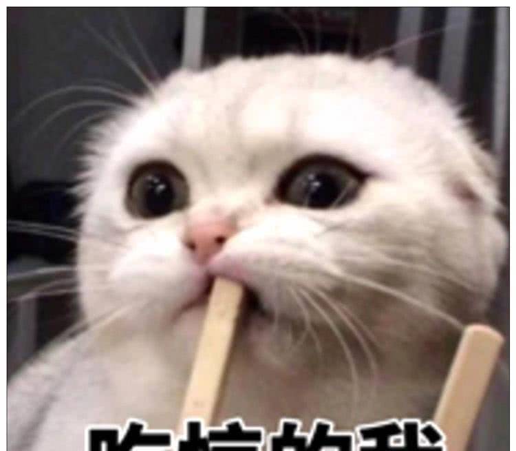 男主回家發現家裡燈壞了，準備去換燈，仔細一看樂彎腰...