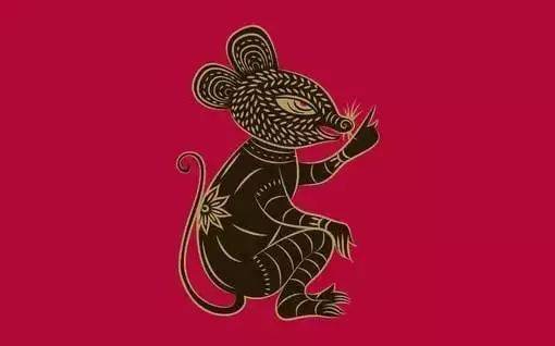 屬蛇聰明，屬猴精明，十二生肖智商排行榜，准爆了 !